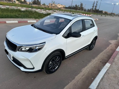 Livan X3 Pro  2026 Autoumatique +toit international