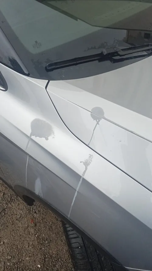 Seat ARONA 2019 