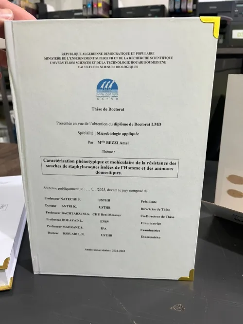Centre de Copie & Impression (flyer , scan , service)