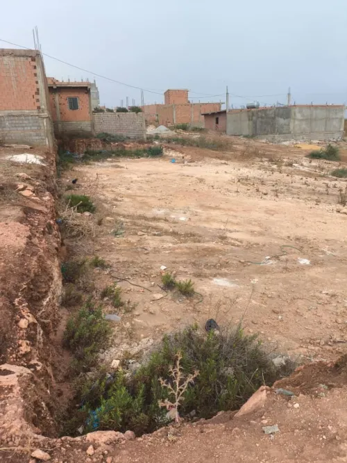 Vente Terrain Aïn Témouchent Sidi safi