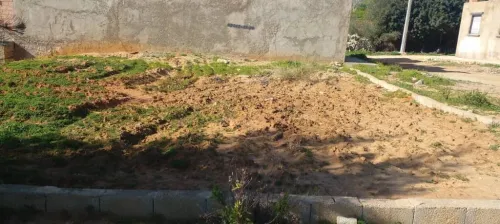 Vente Terrain Mostaganem Sidi lakhdaara