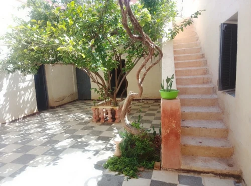 Vente Appartement F4 Laghouat Laghouat