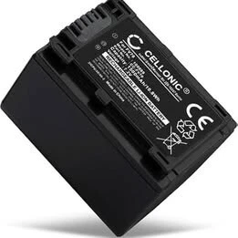 BATTERIE FB-NP-FV100A