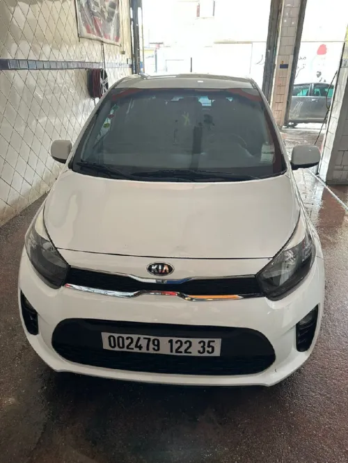 Picanto Morling 2022 Novale