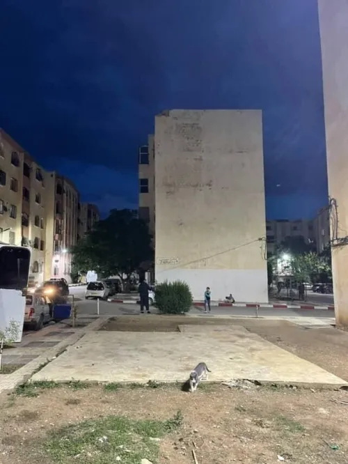 Vente Appartement F4 Khenchela Khenchela