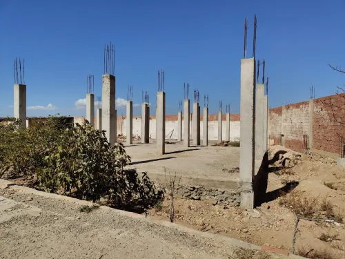 Vente Terrain Relizane Bendaoud