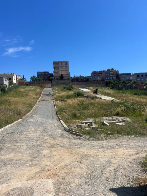 Vente Terrain Alger Said hamdine