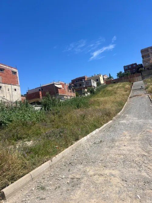 Vente Terrain Alger Said hamdine