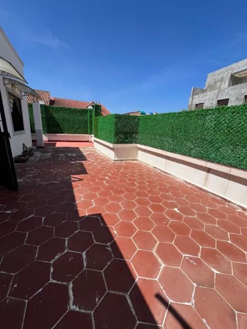 Location Immeuble Alger Ouled fayet