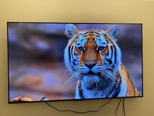 Television TCL 4K Google TV 65 Pouces