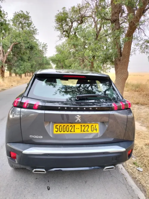 Peugeot 2008 2022 