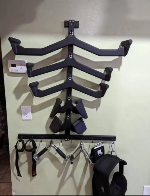Musculation fitness sport