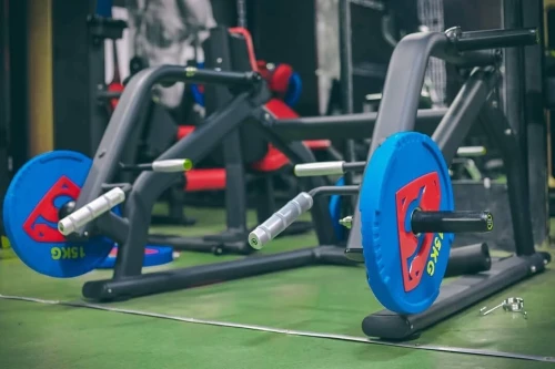 Musculation fitness sport