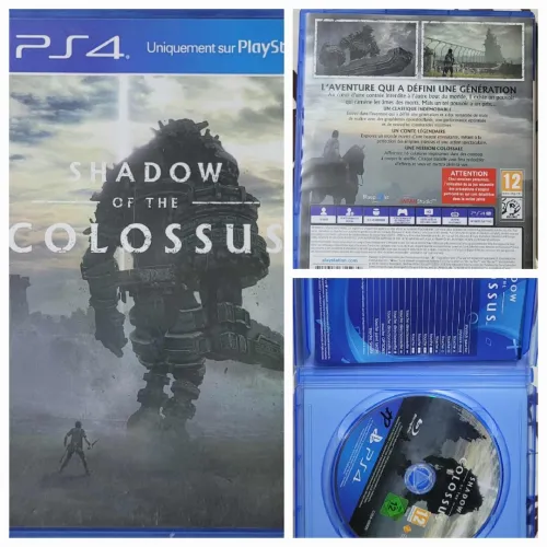 Shadow Of The Colussus