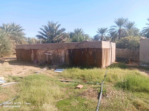 Vente Terrain Agricole Ghardaïa Zelfana