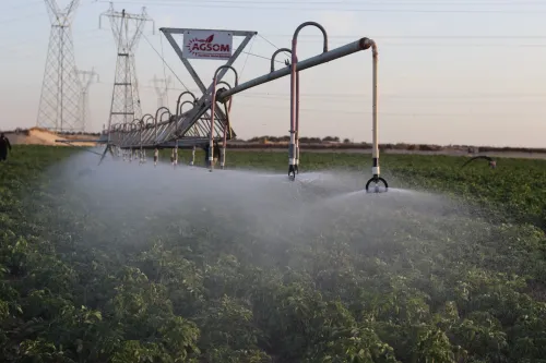 Pivot AGSOM 1HA , 2 HA , 4 HA