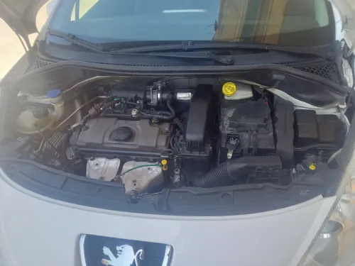 Peugeot 207 2012 Fennec