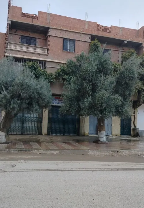 Vente Appartement Niveau de villa F4 Batna Batna