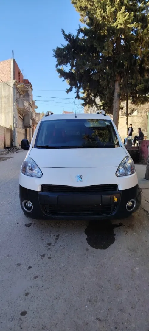 Peugeot Partner b9 2014 