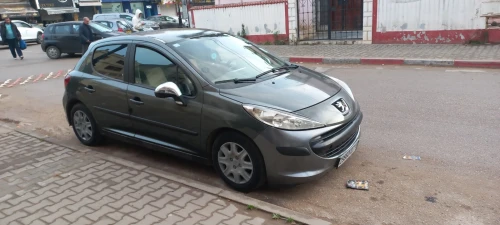 Peugeot 207 2007 Trendy