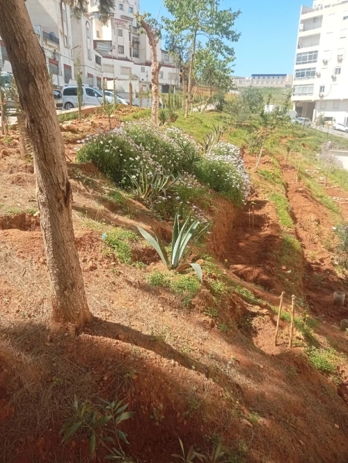 Vente Appartement F4 Tipaza Douaouda