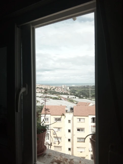 Vente Appartement F4 Tipaza Douaouda