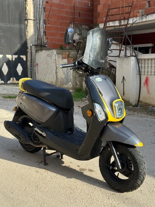 Vms Coxi 2 2024 2024