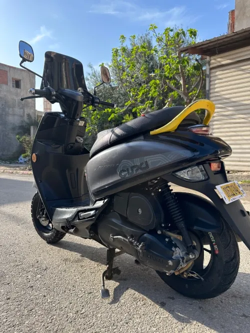 Vms Coxi 2 2024 2024