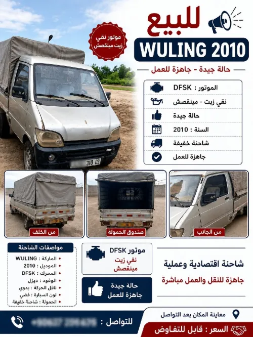 WULING DFM 2010