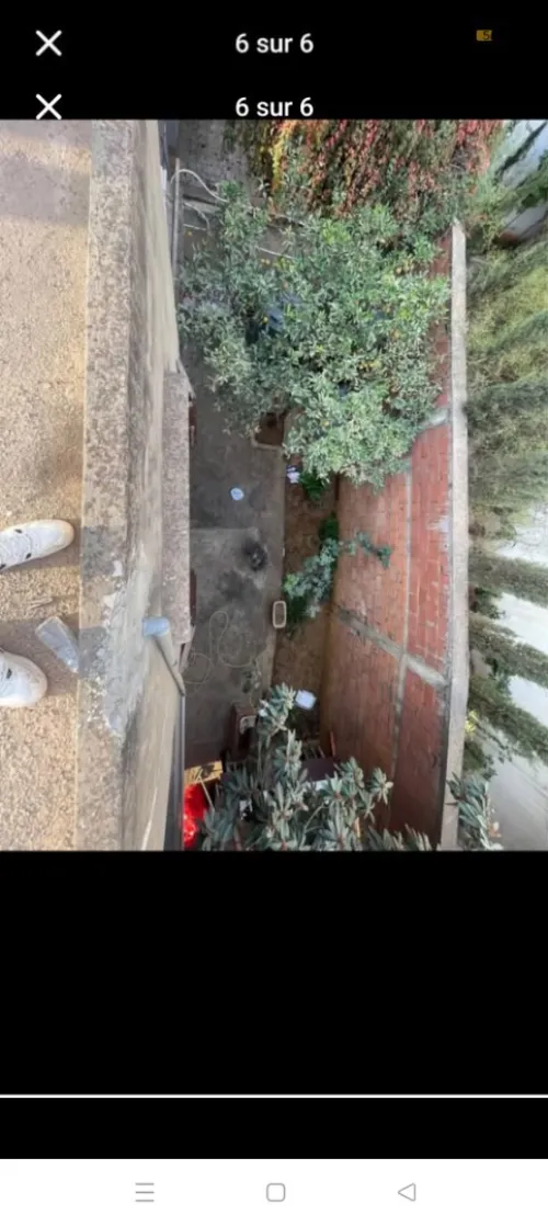 Vente Villa Alger Draria