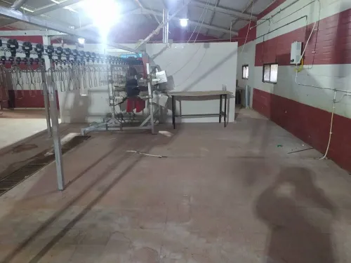 Chaîne abattage volaille 