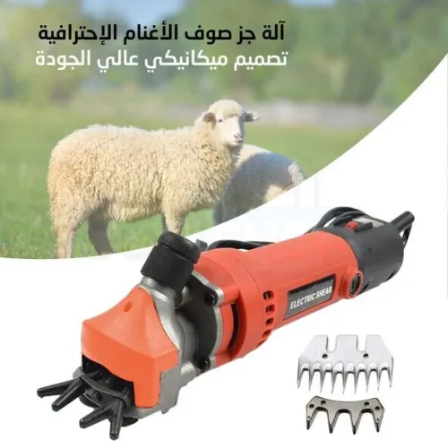 Tondeuse Moutons آلة جز صوف الكباش