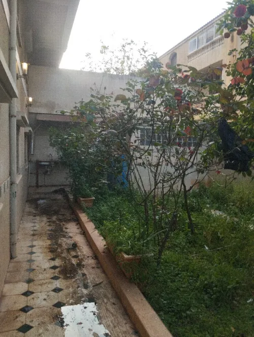 Location Villa Alger Birkhadem