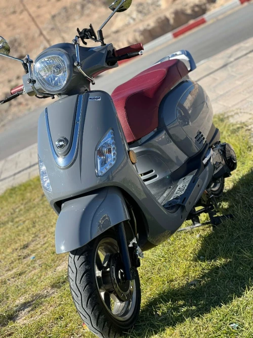 Sym Fiddle 3 2025