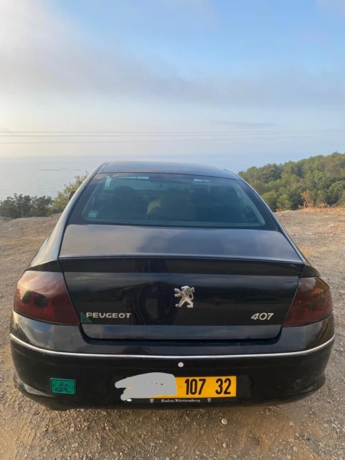 Peugeot 407 2007 407