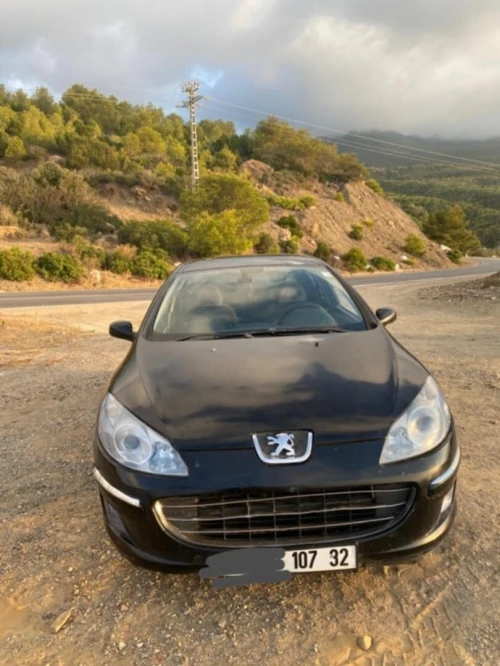 Peugeot 407 2007 407
