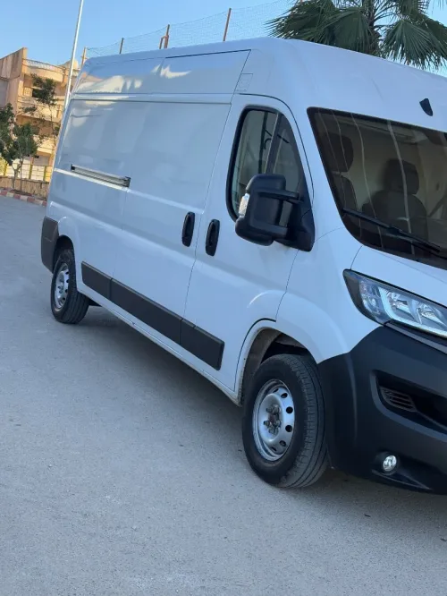 Fiat 3pano 2023