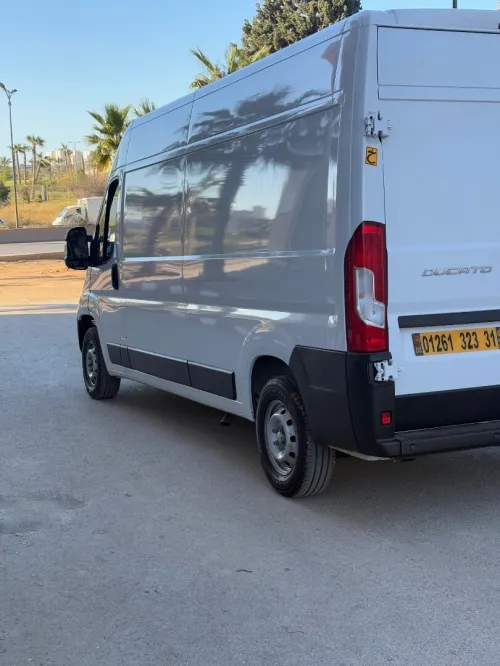 Fiat 3pano 2023