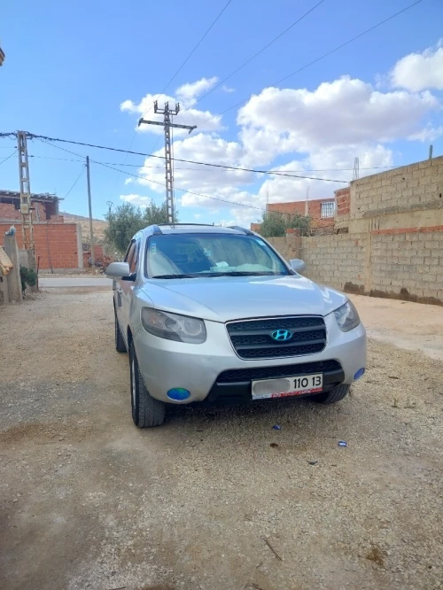 Hyundai SantaFe 2010 SantaFe