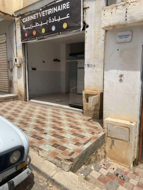 Vente Local Alger Saoula