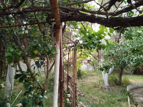 Location vacances Villa Oran Oran