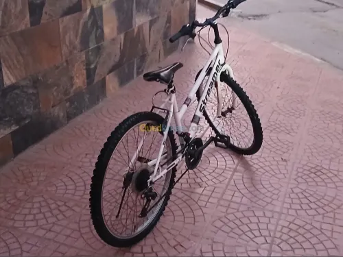 Vélo (vtc) .streamer 2.0 [26 pouces] from Germany