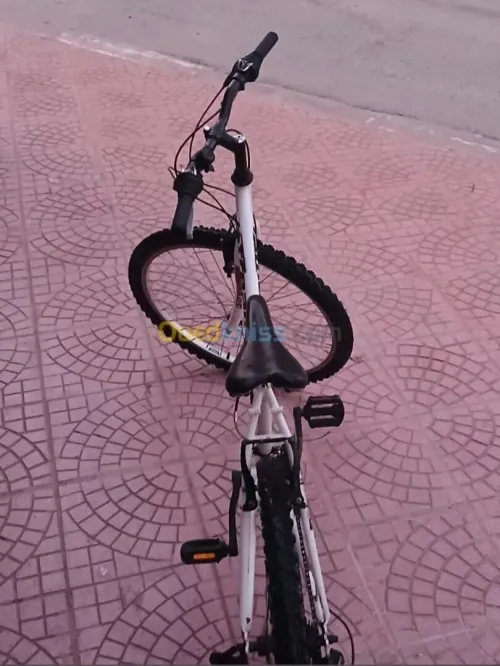Vélo (vtc) .streamer 2.0 [26 pouces] from Germany