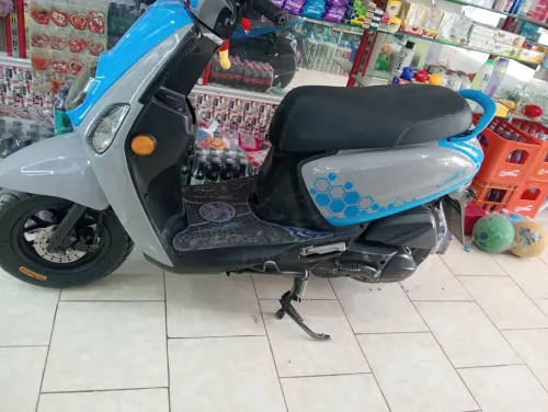 Vms Vms 2024