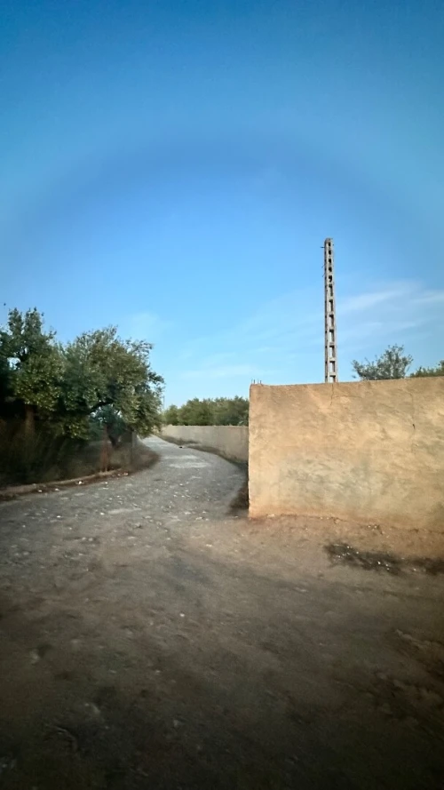 Vente Terrain Agricole Bouira Mchedallah