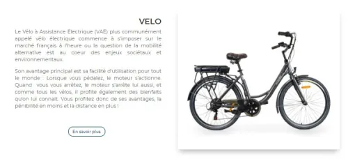 Surpass electric bike Electric bike 2025