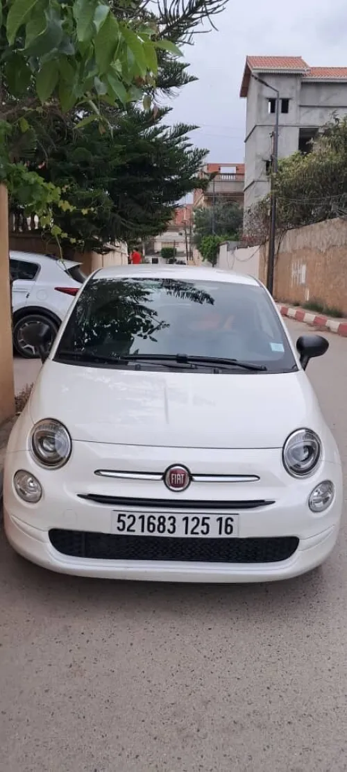 Fiat 500 2025 