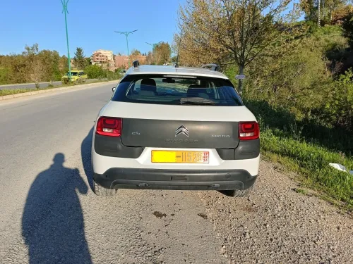 Citroen C4 Cactus 2015 C4 Cactus