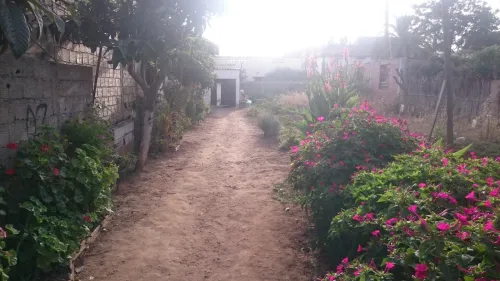 Vente Terrain Alger Bordj el bahri