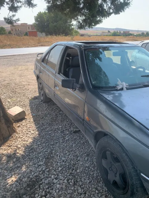 Peugeot 405 1989 405